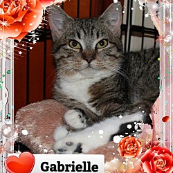 Photo of Gabrielle