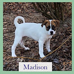 Photo of Madison