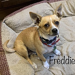 Photo of Freddie Fender