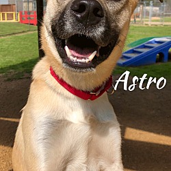 Thumbnail photo of Astro #4