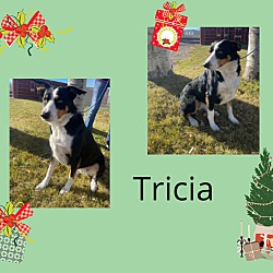 Photo of Tricia