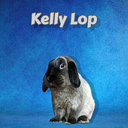 Photo of Kelly Lop