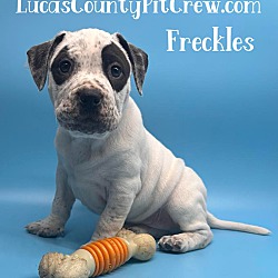 Thumbnail photo of Freckles #3
