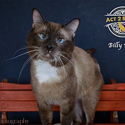 Photo of Billy Bob