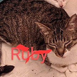 Photo of Ruby