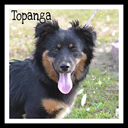 Thumbnail photo of Topanga #1