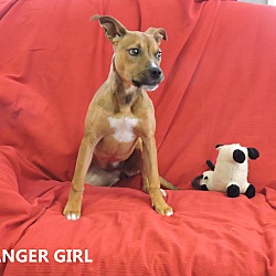 Thumbnail photo of Ranger Girl #2