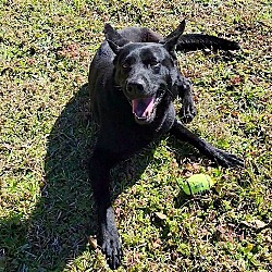 Thumbnail photo of Ranger #2