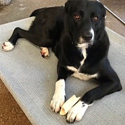 Photo of Sally