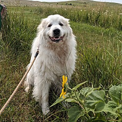 Photo of Martha Mae