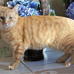 Photo of Oliver