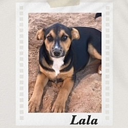 Photo of Lala