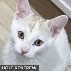 Thumbnail photo of Holt Renfrew #1