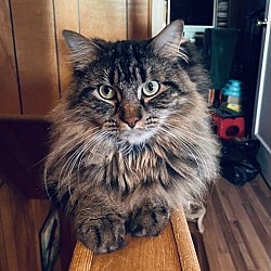 Photo of Bartlesby - “HANDSOME BOY”
