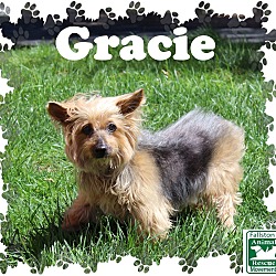 Thumbnail photo of Gracei #2