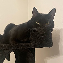 Photo of Ciro 