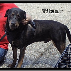 Thumbnail photo of Titan #3