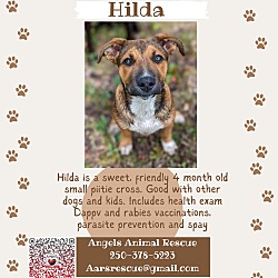 Thumbnail photo of Hilda #1