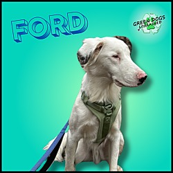 Thumbnail photo of Ford #1