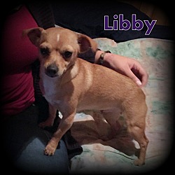 Thumbnail photo of Libby #2