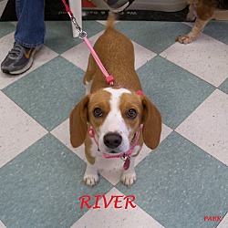 Thumbnail photo of RIVER #1