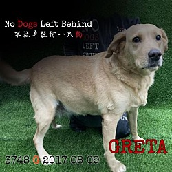 Photo of Greta3748/7129