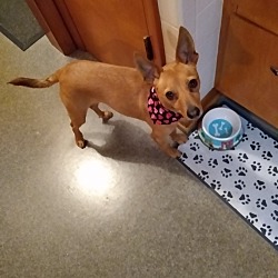 Photo of Bree
