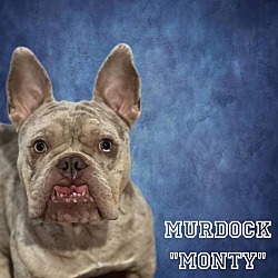 Photo of Murdock "Monty"