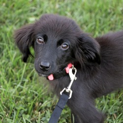 Photo of Madi
