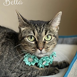 Photo of Bella C.