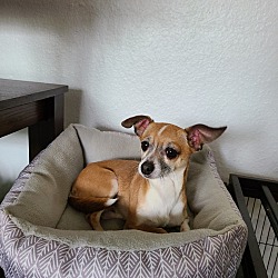 Photo of XANDER