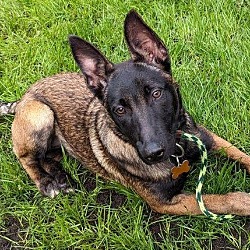 Photo of Sansa