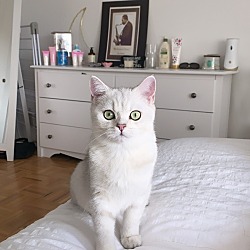 Photo of Toffee