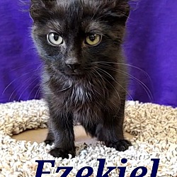 Photo of Ezekiel