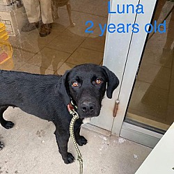 Photo of Luna #3