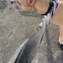 Photo of Zeus