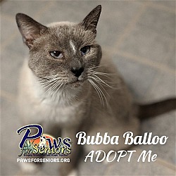 Thumbnail photo of Bubba Balloo #2
