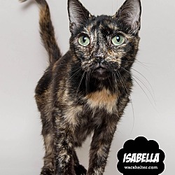 Thumbnail photo of Isabella #2