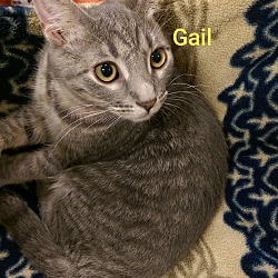 Photo of GAIL