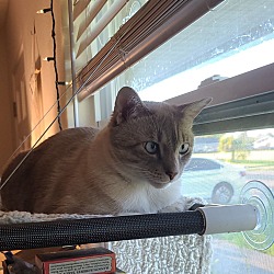 Photo of Harvey
