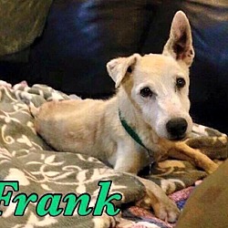 Thumbnail photo of Frank in Seguin, TX #3