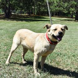 Photo of Barney