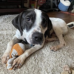 Photo of Mack