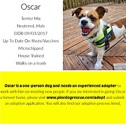 Thumbnail photo of Oscar #2