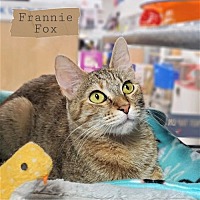 Photo of Frannie Fox