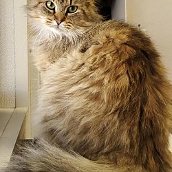 Photo of Finn