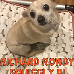 Thumbnail photo of Rowdy in Texarkana, TX #1