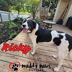 Thumbnail photo of Ricky #3