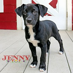 Thumbnail photo of Jenny Delta #2