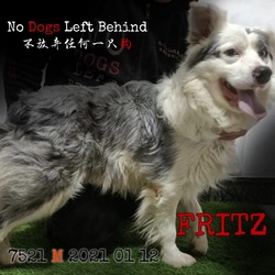 Thumbnail photo of Fritz 7521/7516 #1